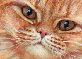 Ginger Tabby Cat / 210014